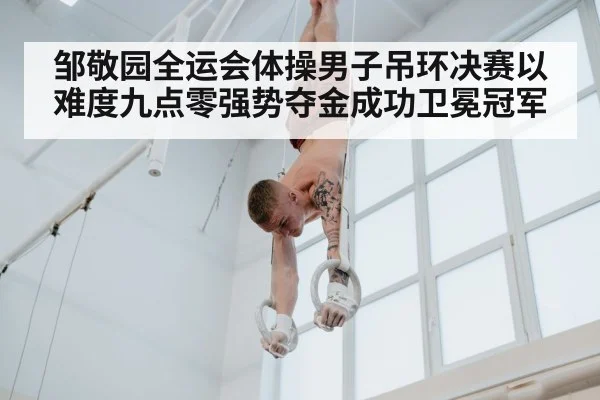邹敬园全运会体操男子吊环决赛以难度九点零强势夺金成功卫冕冠军