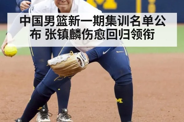 中国男篮新一期集训名单公布 张镇麟伤愈回归领衔