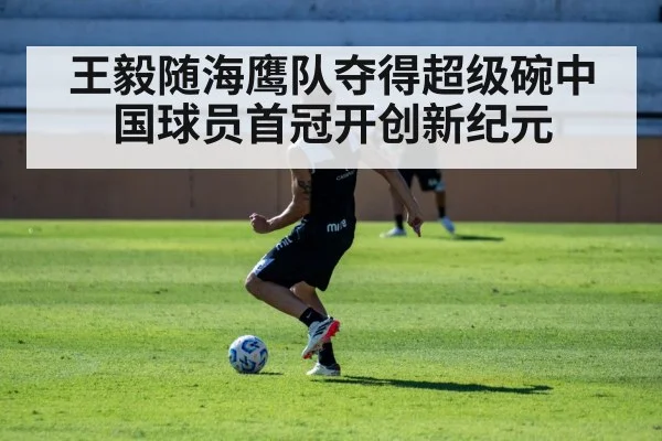 王毅随海鹰队夺得超级碗中国球员首冠开创新纪元